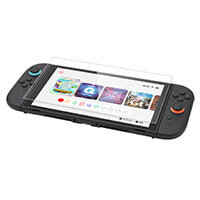 NEW 目にやさしいガラスフィルム(SWITCH 2用)